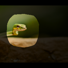 layer4-1408