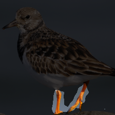 layer2-292