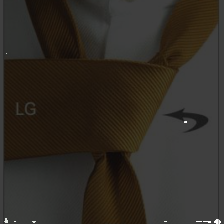 layer1-113