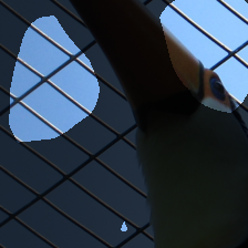 layer4-818