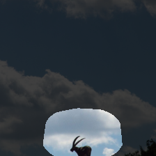 layer4-717