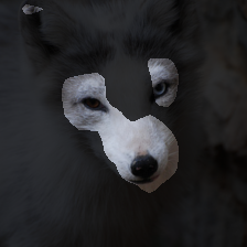 layer3-253