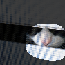 layer4-475