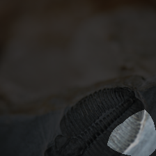 layer4-1069