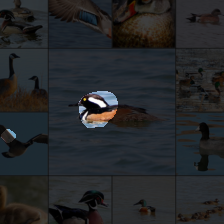 layer3-198