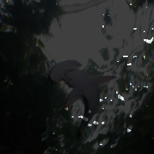 layer1-204