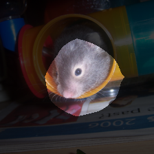 layer4-243