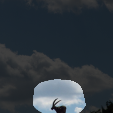 layer4-1255
