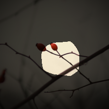 layer4-542
