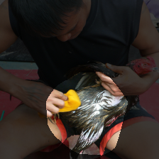 layer4-542