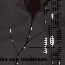 layer2-390