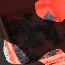 layer4-1217