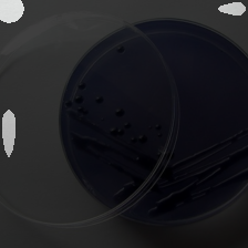 layer3-395