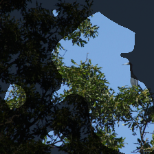 layer4-1685