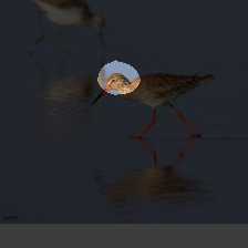 layer3-851
