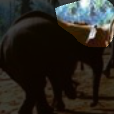 layer4-1479