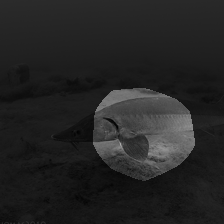 layer4-1479