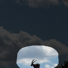 layer4-5