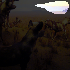 layer4-1678