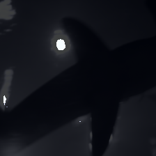 layer1-181