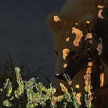 layer1-167
