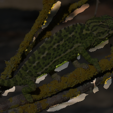 layer2-449