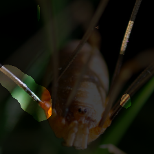 layer3-546