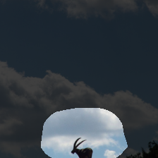 layer4-1648