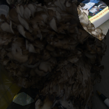 layer4-132