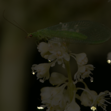 layer2-256