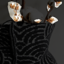 layer3-144