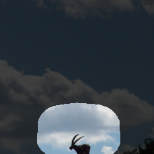 layer4-985