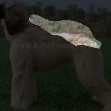 layer3-782