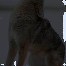layer2-363