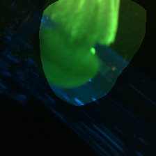 layer4-1484