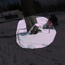 layer4-388