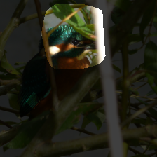 layer4-360