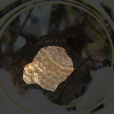 layer3-164