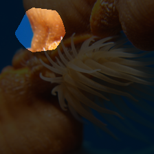 layer4-326