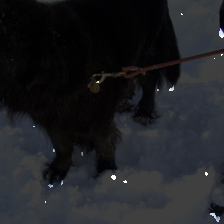 layer1-217
