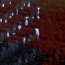 layer2-158