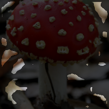 layer2-392