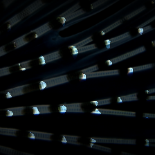 layer2-81