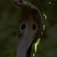 layer2-297