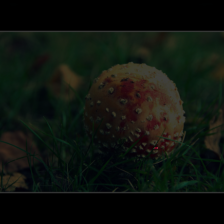layer2-360