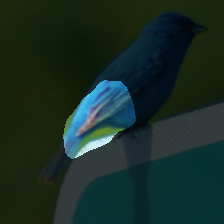 layer3-276