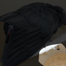 layer4-336