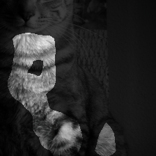 layer3-429