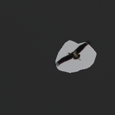 layer3-573