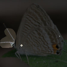 layer3-225